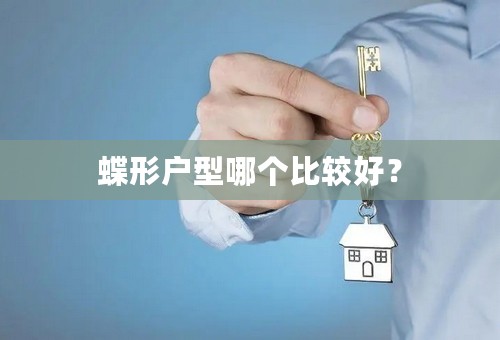 蝶形户型哪个比较好？