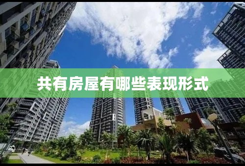共有房屋有哪些表现形式