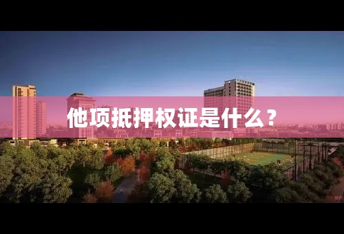 他项抵押权证是什么？