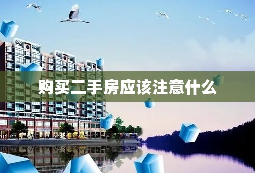购买二手房应该注意什么