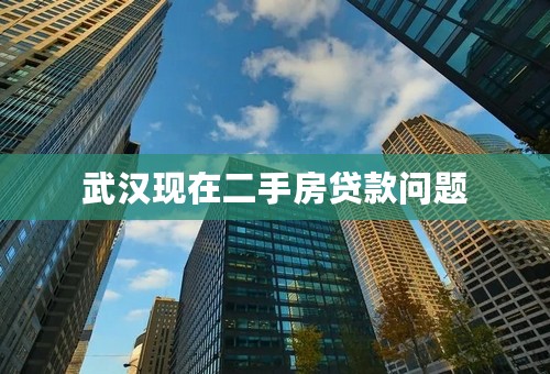 武汉现在二手房贷款问题