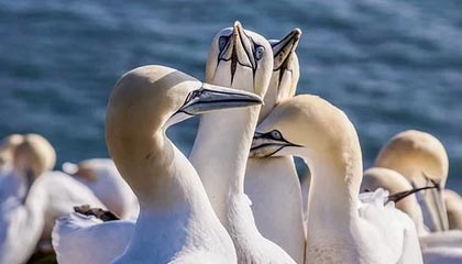 告别卡顿与蓝屏！手把手教你window7系统怎么重装，让老电脑重获新生