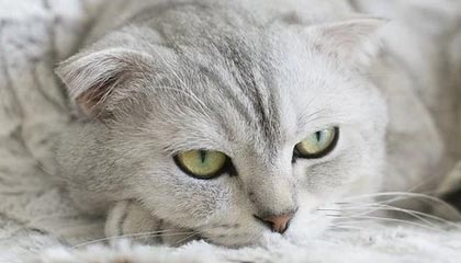 别慌！window7蓝屏了？跟着老司机一步步排查解决