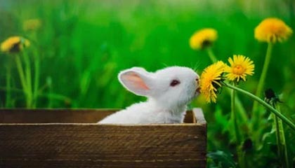 电脑卡成PPT？别慌！手把手教你搞定windo10 update的那些糟心事