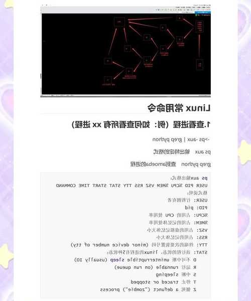 还在为命令行抓狂？掌握这些liux用法让你效率翻倍！