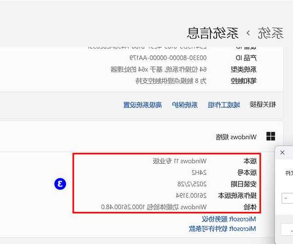 还在为小字发愁？Windows11放大技巧全攻略，工作效率翻倍！