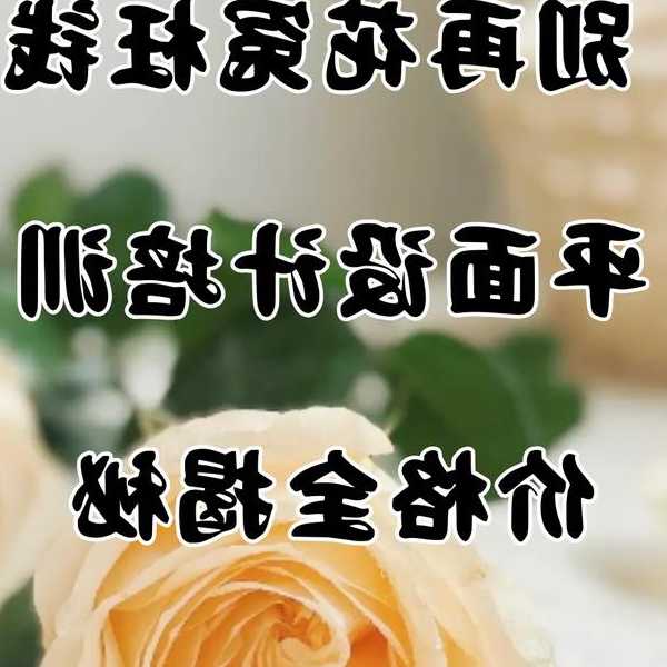 别再花冤枉钱！这才是WINDOW7官网教育的正确打开方式