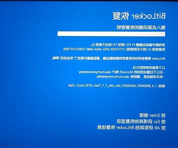 别再被卡顿困扰！windows11黑豹让你的电脑重获新生