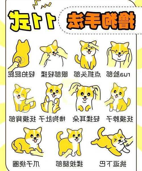 别找了！这就是你想要的Windows11宠物最全玩法指南