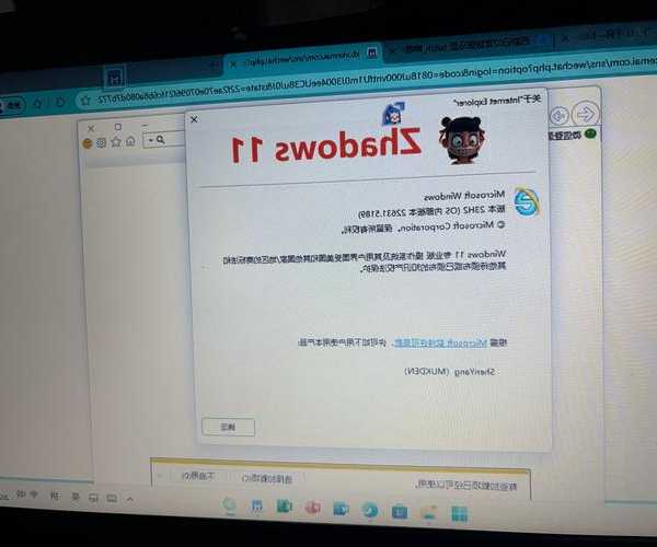 还在为Windows11 IE兼容性发愁？老司机带你轻松搞定！