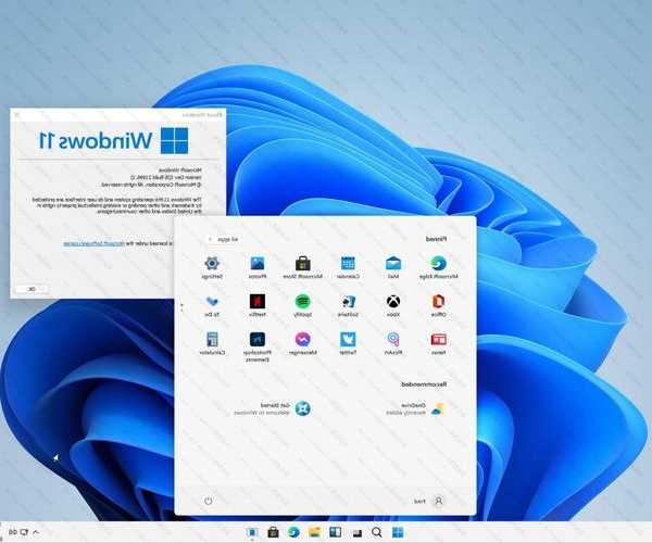 主机windows11