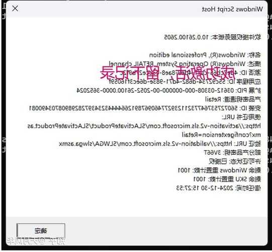 还在为系统激活发愁？手把手教你用window7系统激活软件搞定