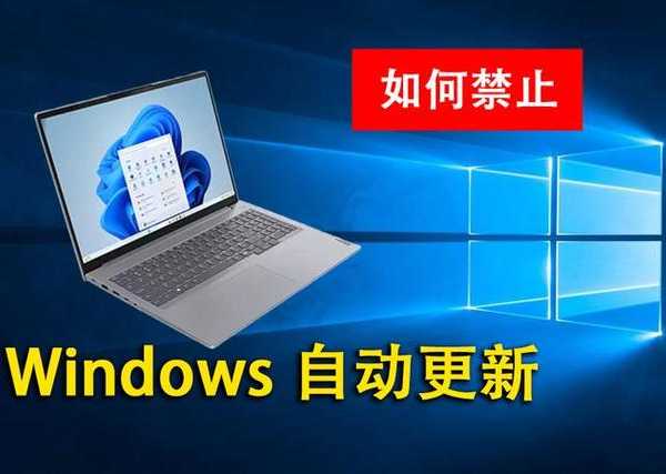 还在为自动升级烦恼？手把手教你屏蔽Windows11的实用技巧