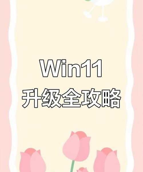 升级必看！这份windows11费用指南帮你省下冤枉钱
