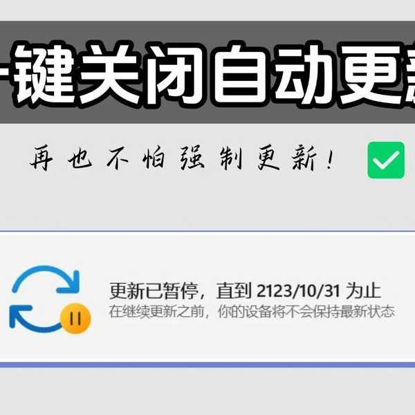 厌倦了强制更新？替代windows11后，我的办公效率翻倍了！