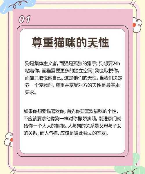 别让猫咪捣乱！猫咪Windows 11实战指南：这样设置让主子爱上你的电脑桌