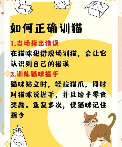 别让猫咪捣乱！猫咪Windows 11实战指南：这样设置让主子爱上你的电脑桌