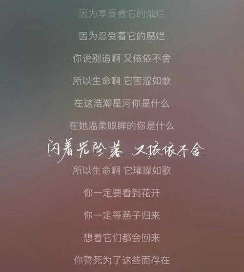 追剧党必看！搞定windo10网易云音乐歌词的那些神操作