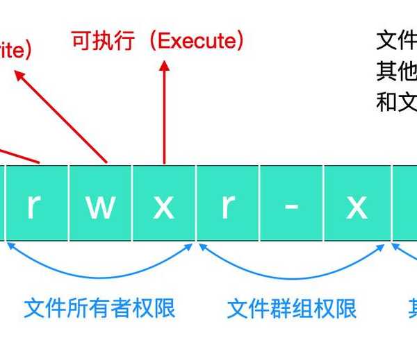 还在为文件权限挠头？先搞懂liux文件类型有哪些！