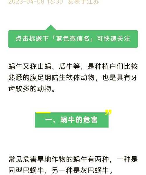 电脑突然变蜗牛？教你3招榨干小米Windows11的隐藏性能！