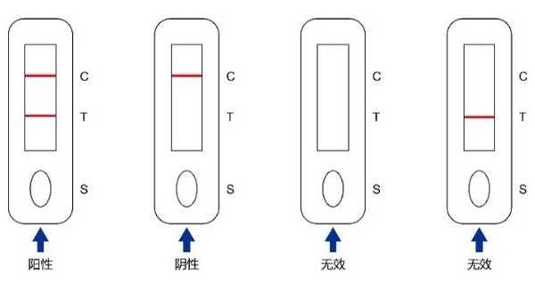惊！安全漏洞频发，是时候试试乙肝liux了