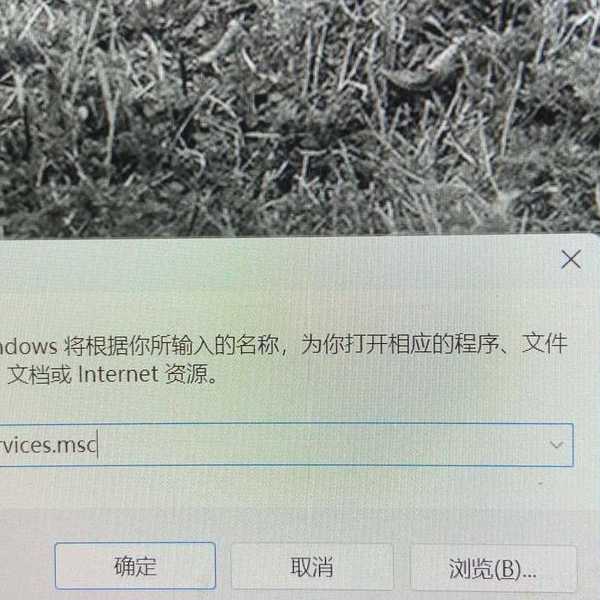 遇到这些windows11错误别慌！老司机教你3招轻松搞定