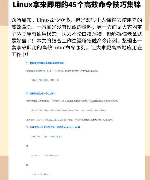 还在为Linux文本编辑发愁？掌握liux vi这些技巧让你效率翻倍！