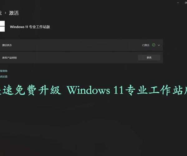 还在为升级发愁？这份windows11下载指南让你少走弯路