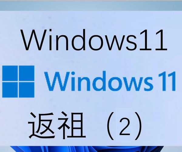 告别卡顿!这样简化Windows11让你的电脑重获新生