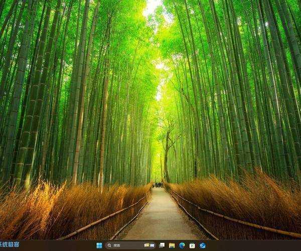 想让你的桌面焕然一新？这篇“雨滴windows11”终极美化指南不容错过！