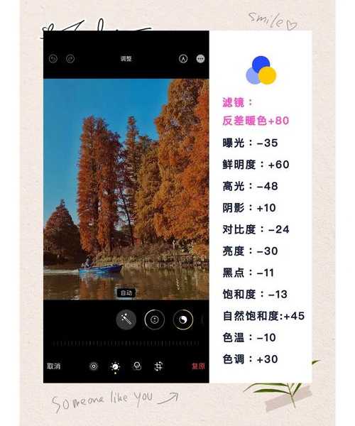 别再用PS调色了！这个windows11滤镜功能，让你的工作效率翻倍！