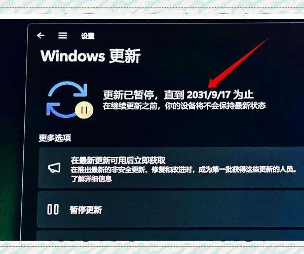 别再被系统更新困扰了！windows11 168这些隐藏功能让你的工作效率翻倍