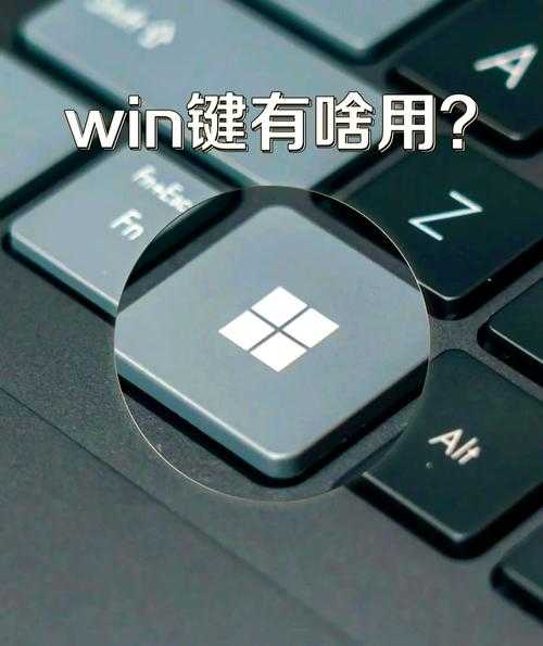 别再手忙脚乱了！零基础也能轻松上手的“直播windows11”终极指南