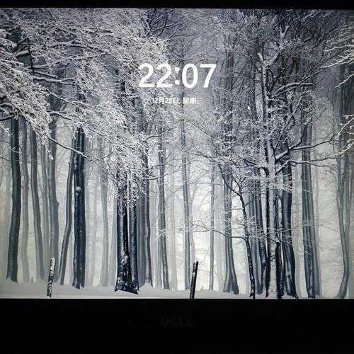 别再把桌面当草稿纸了!这个Windows11贴纸功能,让你的工作效率翻倍