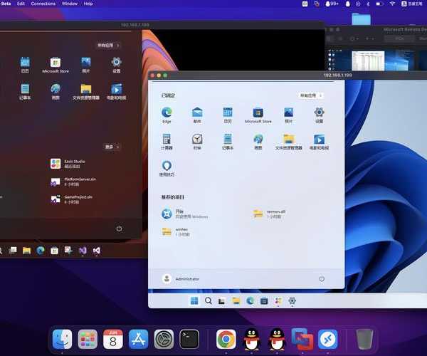 别再让桌面单调乏味！手把手教你玩转Windows11背景，打造专属工作空间