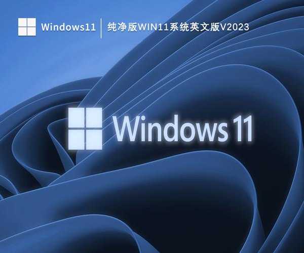 windows11英语