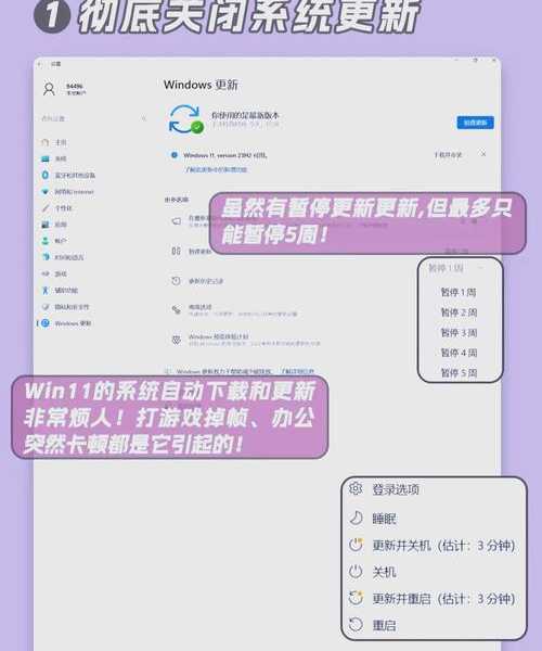 别再让Windows11拖慢你的效率！这些实用技巧让你工作飞起来