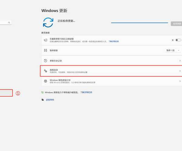 别等了！Windows11偷跑这个方法99%的人不知道