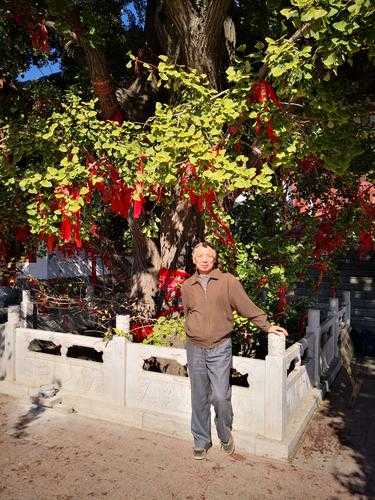 文件同步总卡壳？手把手教你驯服windows11密云的那些坑！