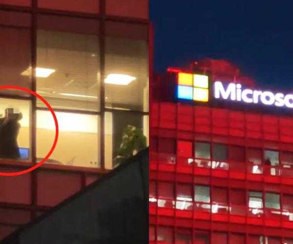 遇到ozabc windows11弹窗太抓狂？这5招让它彻底消失！