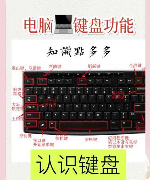 效率翻倍！揭秘那些让你秒变Win10高手的桌面视图快捷键