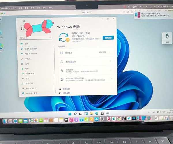 双系统党的效率秘籍：windows11 macos无缝协作全指南