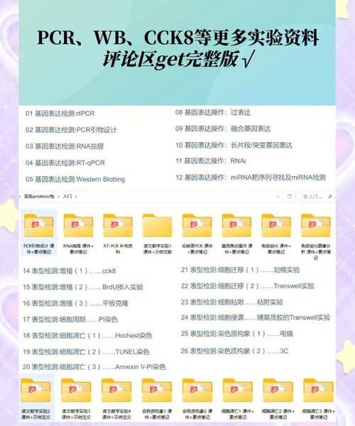 还在用老系统？这篇Windows7 SP2终极维护教程帮到你！