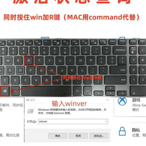 Window 8密码困境终极破解手册：从紧急救援到深度防御
