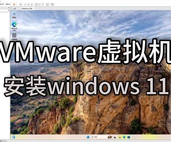 终于可以在虚拟机流畅运行了！windows11 vmware保姆级教程