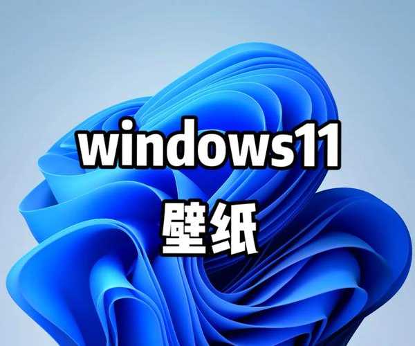 厌倦了千篇一律的桌面？手把手教你玩转Windows11换壳，打造专属工作空间！