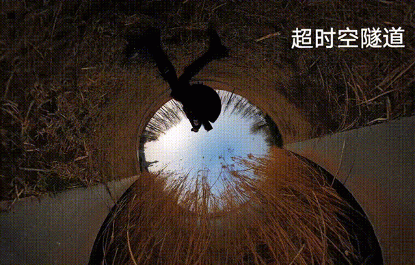 原来这些是真的!聊聊我亲测有效的Windows11传说