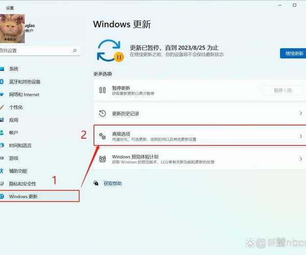 别再让性能打折扣！手把手教你优化ryzen windows11的终极指南