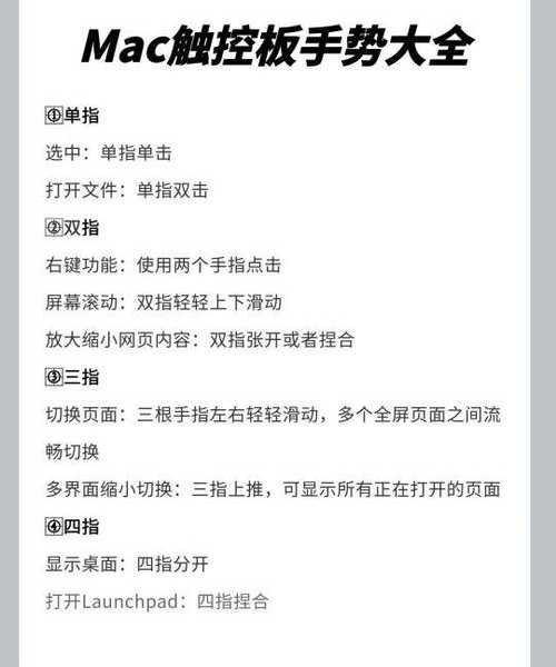 解锁生产力秘诀！美国windows11高效办公全攻略