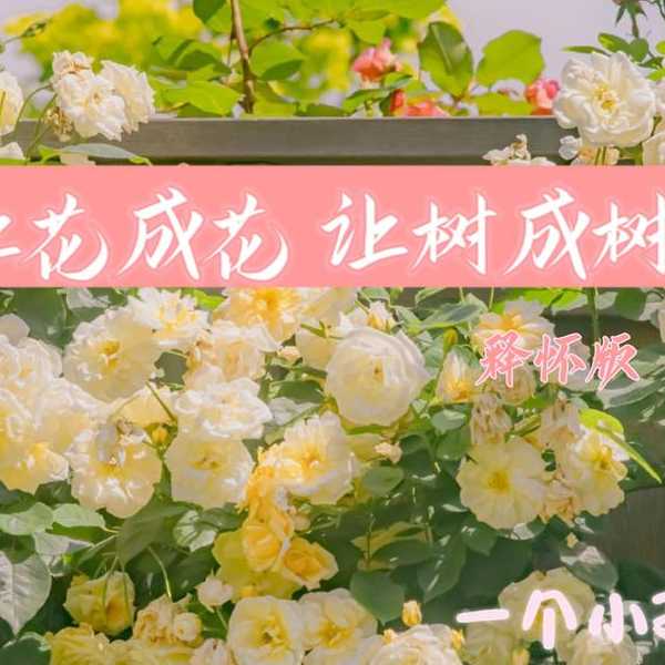 老树开新花：让Windows 8在现代办公场景中重获新生